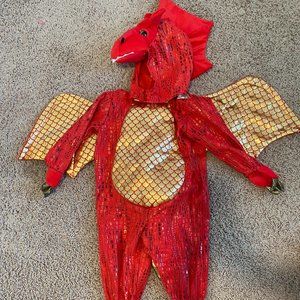 Pottery Barn Dinosaur Costume | Very Good | 6-12 Months